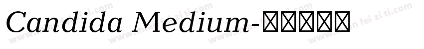 Candida Medium字体转换